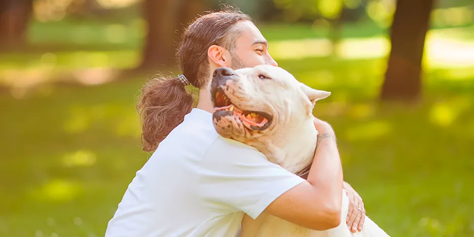 Dogo Argentino Razas de perros Purina